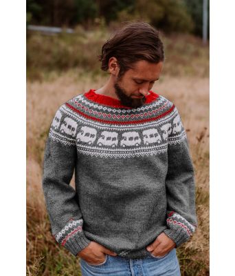 Mørkegrå bobilgenseren strikket genser med bobil mønster - Strikkia 2020-016D