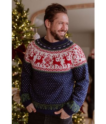 Reindeer wonderland julegenser - DLG 24-024