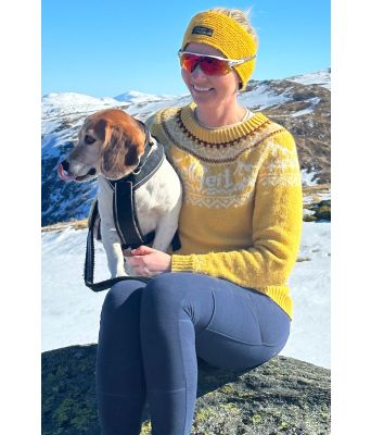 Gul Fjellgeitgenser - DLG 22-004-540B