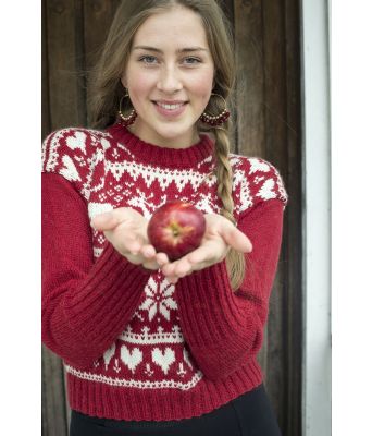 Rød reinsdyrgenser - DSA 104-10