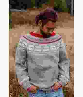 Grå bobilgenseren strikket genser med bobil mønster - Strikkia 2020-016C