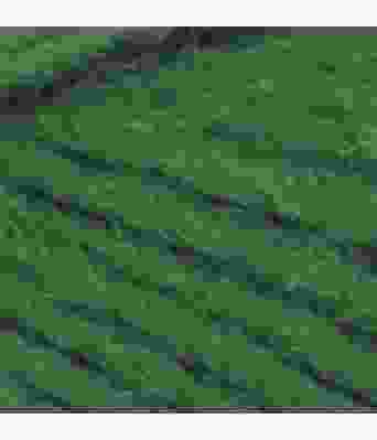 Dale garn - Older 412 Flaskegrønn