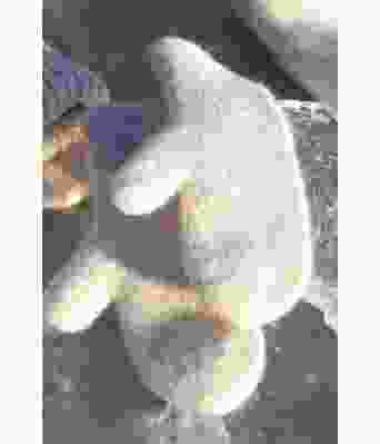 Talvor ullvotter - DG 483-02