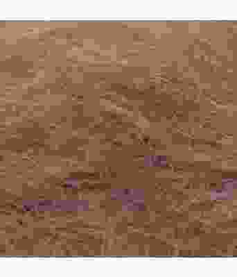 Belfilato - Flamingo 42271 Kamel