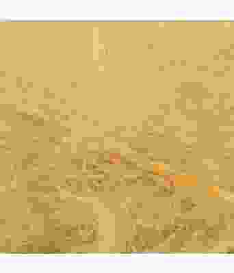 Belfilato - Flamingo 47902 Maisgul