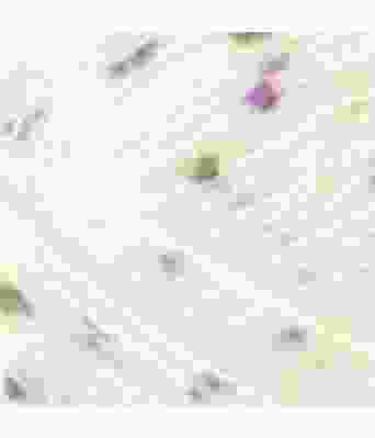 Dale garn - Multi popkorn 501 Hvit