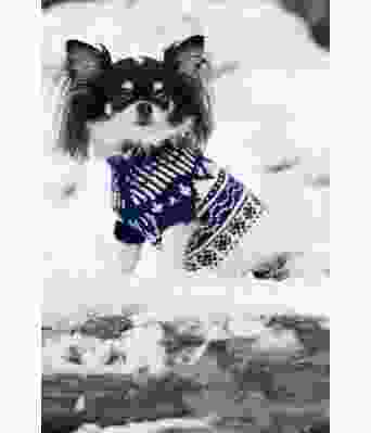 Norgesgenseren hundegenser - DLG 149