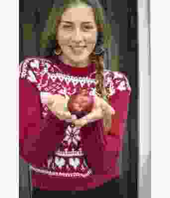 Rød reinsdyrgenser - DSA 104-10