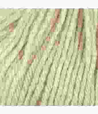 Du store alpakka - Sterk 823 Lys brun melert