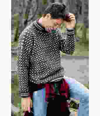 Koksgrå islender - GG 263-05