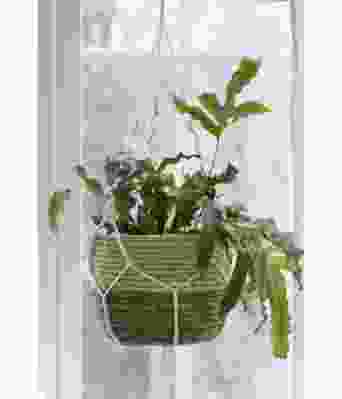 Reinrose Ampel - GG 280-23