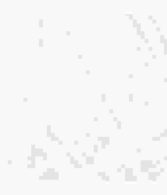 Istex Léttlopi - 10051 White